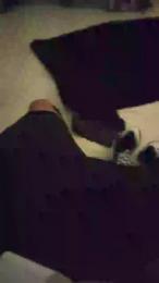 prometeo25 webcam model stream image