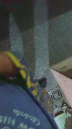 Gogui19x6 webcam model stream image