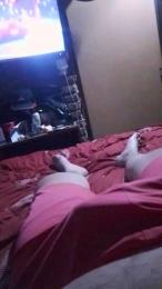 matute79 webcam model stream image