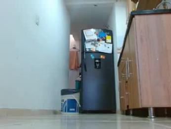 anaids_dam webcam model stream image