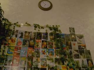 alisastarr webcam model stream image