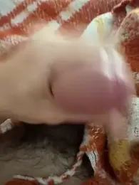 Jackoff2345 webcam model stream image