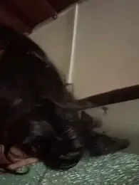 GigiiStone webcam model stream image