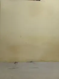 Pussy_cat_Sexy_Baby webcam model stream image