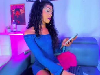 cherry_gate webcam model stream image