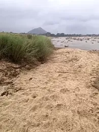 Horny_bull28 webcam model stream image