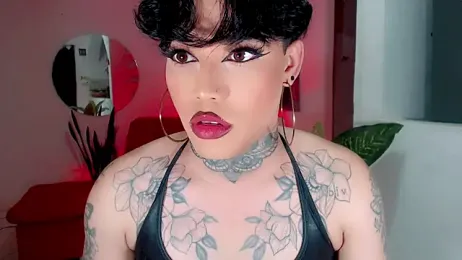 little_star_porn webcam model stream image