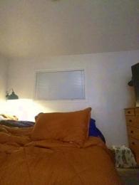 tealseal webcam model stream image