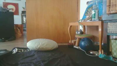 roy2409 webcam model stream image