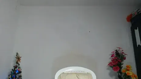 brown_halos webcam model stream image