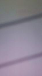 libreporti_ webcam model stream image