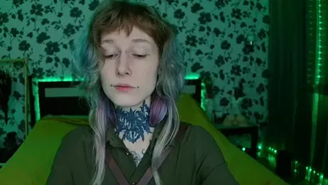 Littlespacemouse webcam model stream image