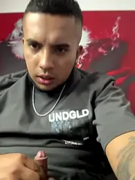 hot_miguel webcam model stream image