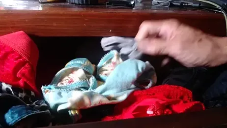 hottottrot691 webcam model stream image