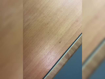 pizzahott webcam model stream image