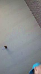 bodybuilder94 webcam model stream image