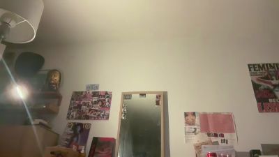 thesouthoftheh3 webcam model stream image