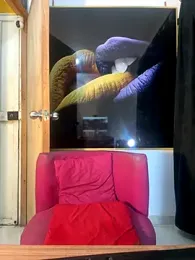 gottibanks webcam model stream image