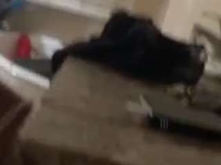 gonefishingkbm1985 webcam model stream image