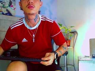 hannilest webcam model stream image