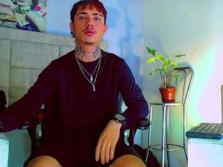 hannilest webcam model stream image
