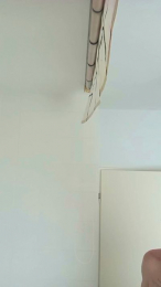 HECTOrr1r1 webcam model stream image