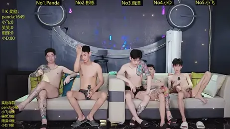 SX-009 webcam model stream image