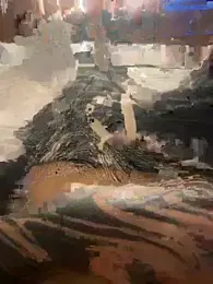 ivaaaan_ webcam model stream image