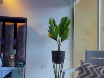 santin_seans webcam model stream image