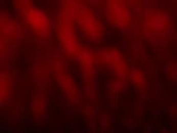 kloelamaravilla18 webcam model stream image