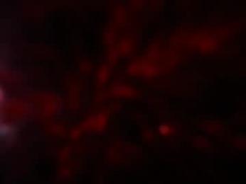 kloelamaravilla18 webcam model stream image