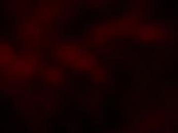 kloelamaravilla18 webcam model stream image