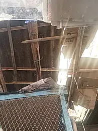 Skinny_Bigass_23 webcam model stream image