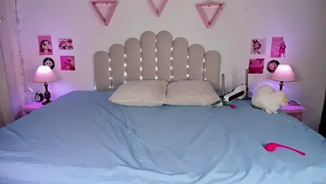 Sofi_gray_ webcam model stream image