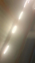 thaynnaxxx webcam model stream image