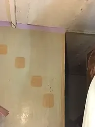 SassyLaurier webcam model stream image