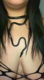 Lapulpeusee webcam model stream image