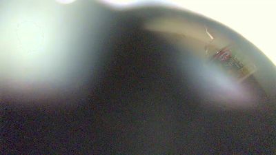 ducex_fun webcam model stream image