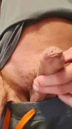 lucaflow webcam model stream image