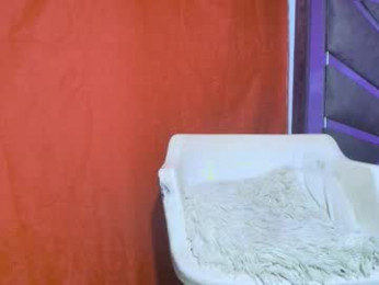 maggie_fit webcam model stream image
