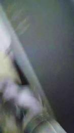 smile3000 webcam model stream image