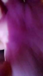 AleXXX000777 webcam model stream image