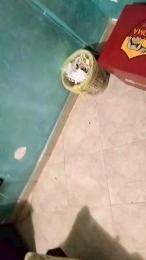 Mirko843 webcam model stream image