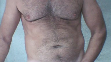 ciervo webcam model stream image