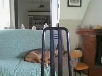 fammefatale1987 webcam model stream image