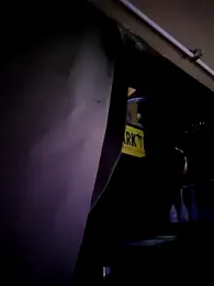 lady_charlyne webcam model stream image