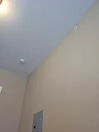 AmethystFoxx webcam model stream image