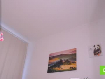 oke_doke webcam model stream image