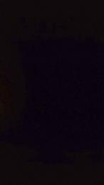 D4DLou1sX webcam cam4 model stream image