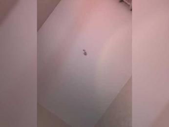 -Kami- webcam model stream image